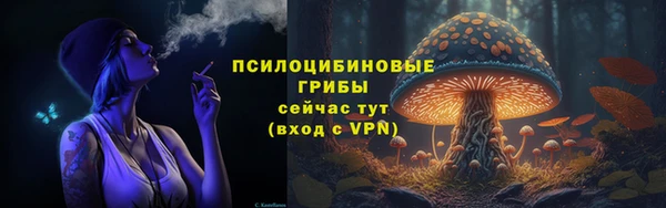 мяу мяу мука Осташков