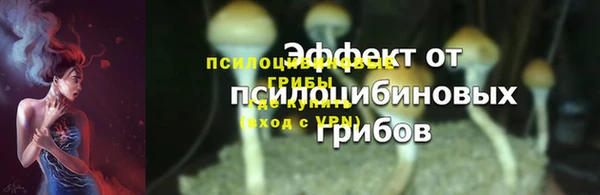мяу мяу мука Осташков