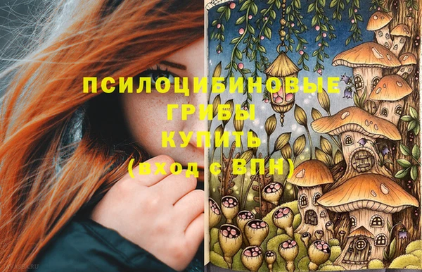 СК Остров