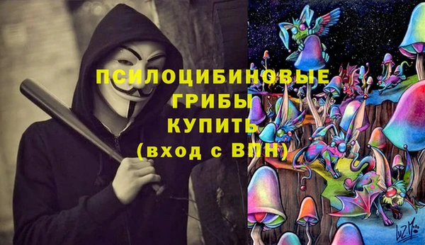 мяу мяу мука Осташков