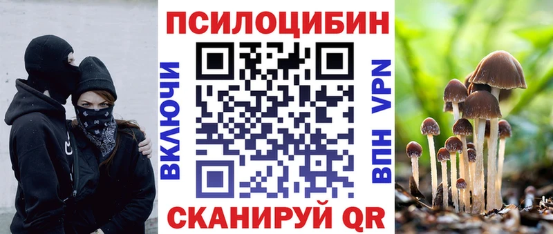 где купить   Урус-Мартан  Галлюциногенные грибы MAGIC MUSHROOMS 